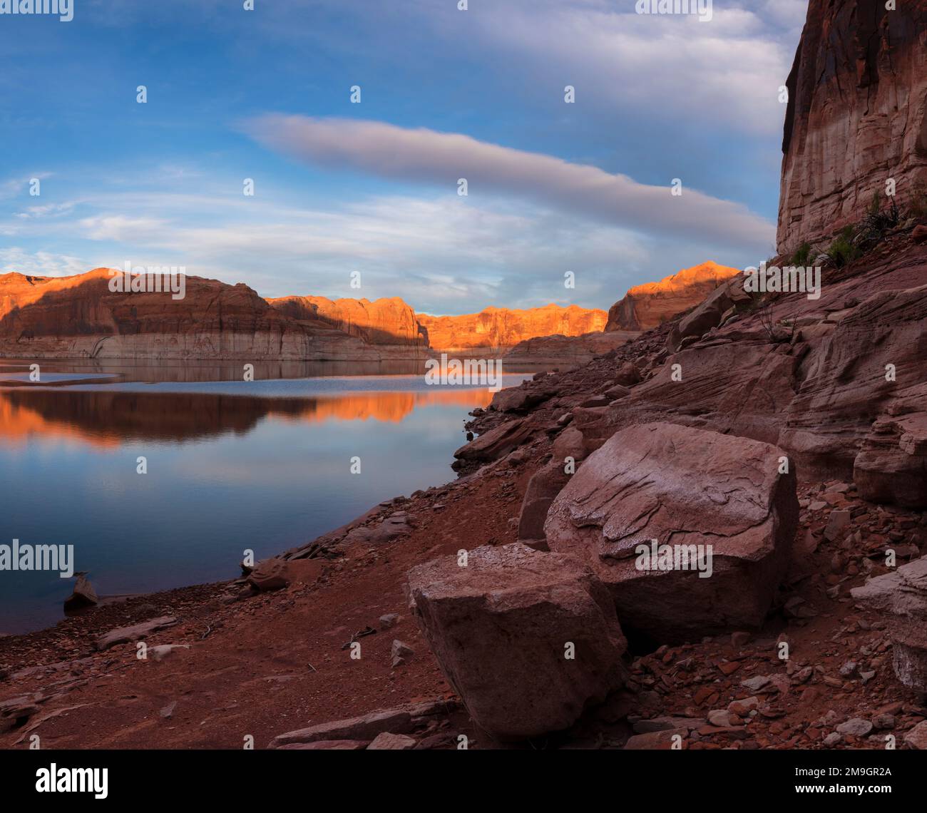 Il fiume Escalante e il lago Powell confluono nel deserto al tramonto, nell'area ricreativa di Glen Canyon, Utah, USA Foto Stock