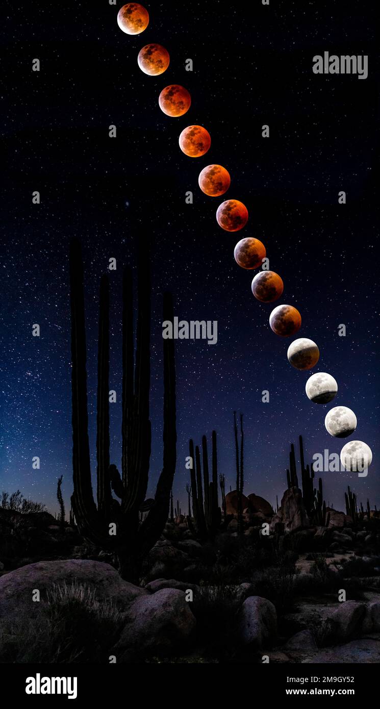 Ripresa digitale composita della luna sul deserto con cactus, Messico Foto Stock