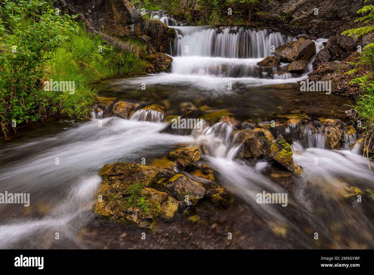 Paesaggio con cascata e ruscello, Hidden Falls, Canmore Creek, Alberta, Canada Foto Stock