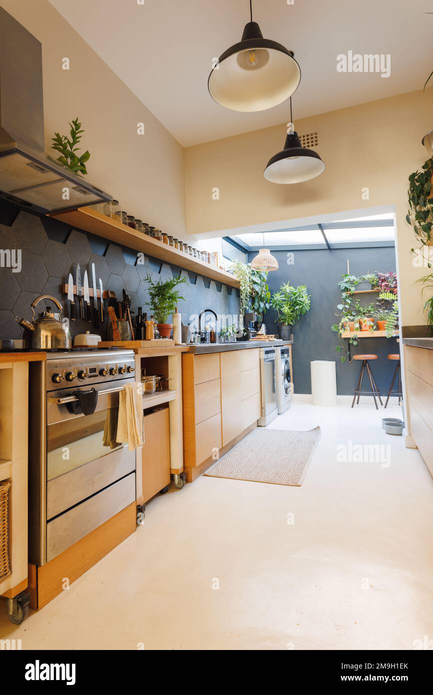 Lampada a sospensione pensile e utensili disposti su ripiani e bancone con piante in cucina Foto Stock