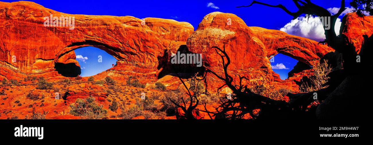 Formazioni rocciose ad arco naturale nel deserto, Arches National Park, Utah, USA Foto Stock