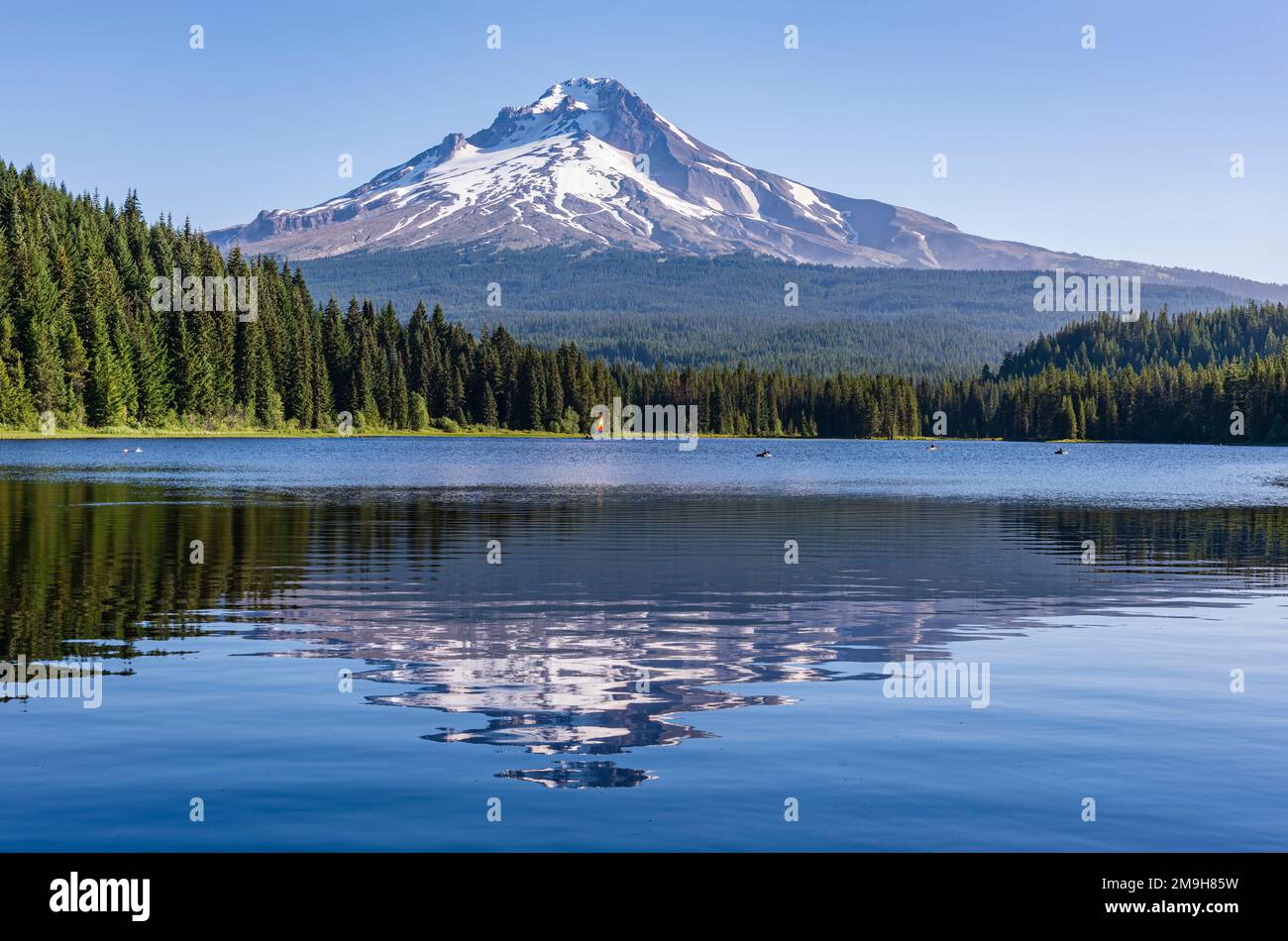 Mount Hood riflette a Trillium Lake, Oregon, USA Foto Stock