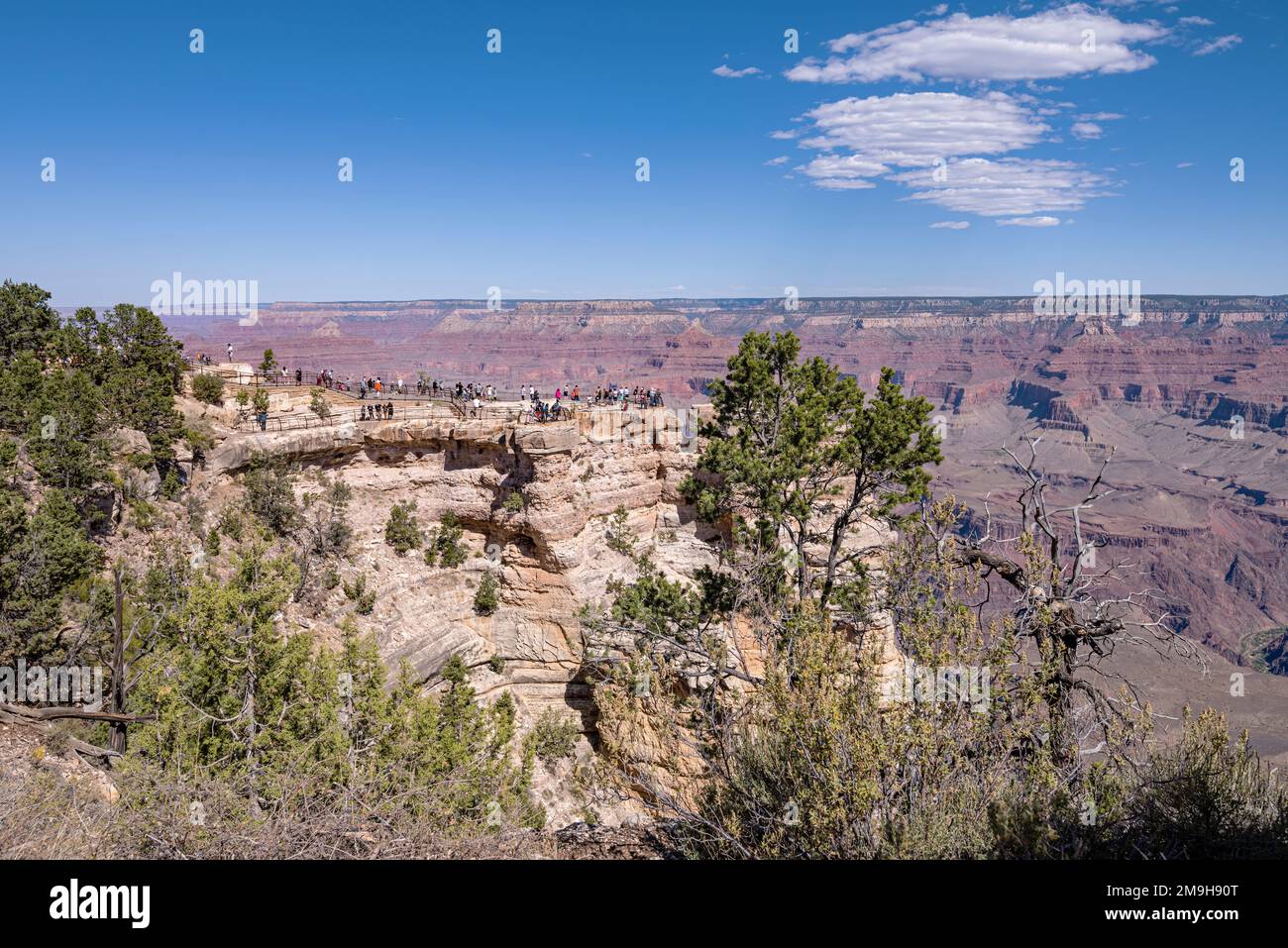 Turisti e paesaggi di canyon, South Rim, Grand Canyon, Arizona, USA Foto Stock