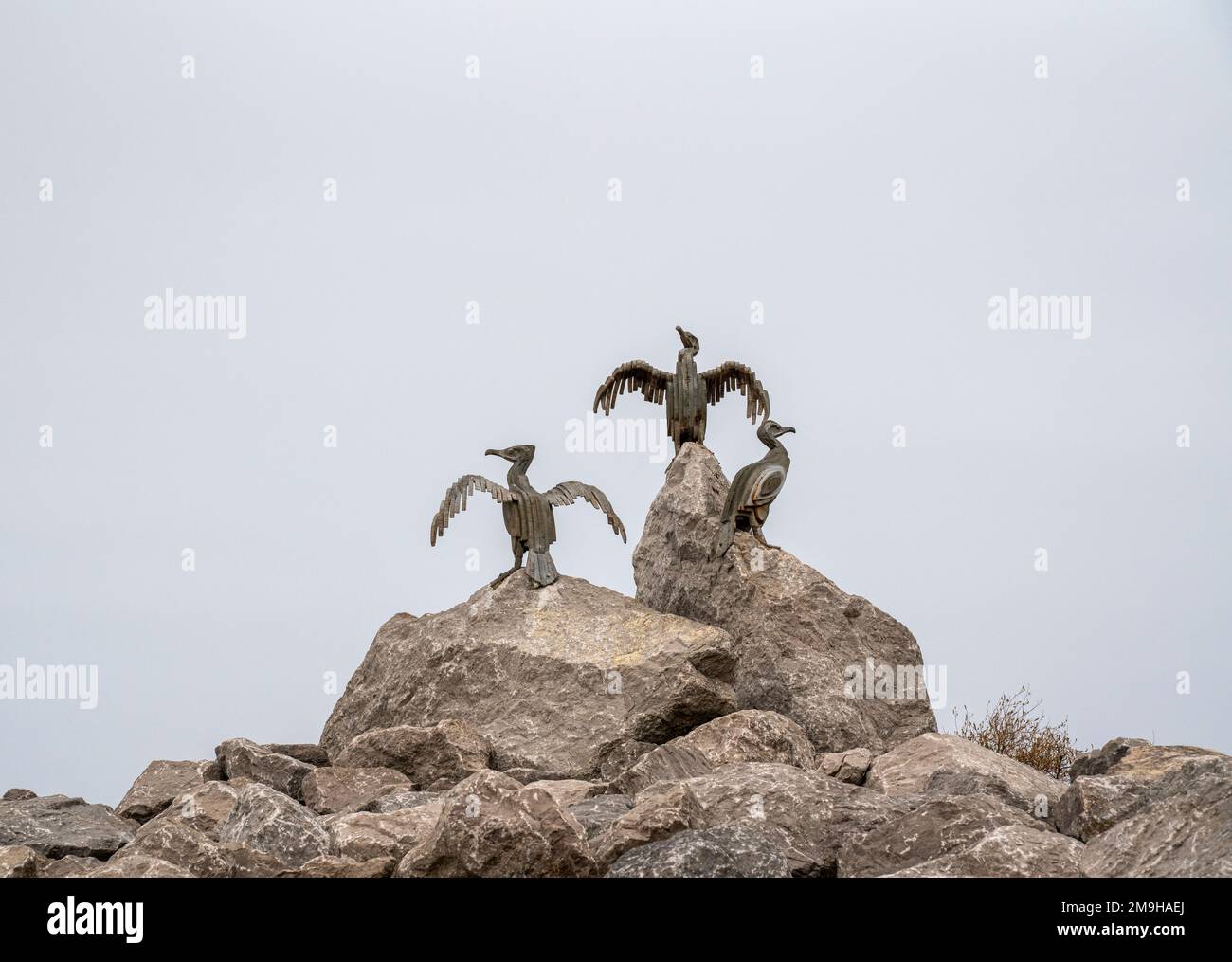 Scultura dei cormorani - The Tern Project, Morecambe, Lancashire, Regno Unito Foto Stock