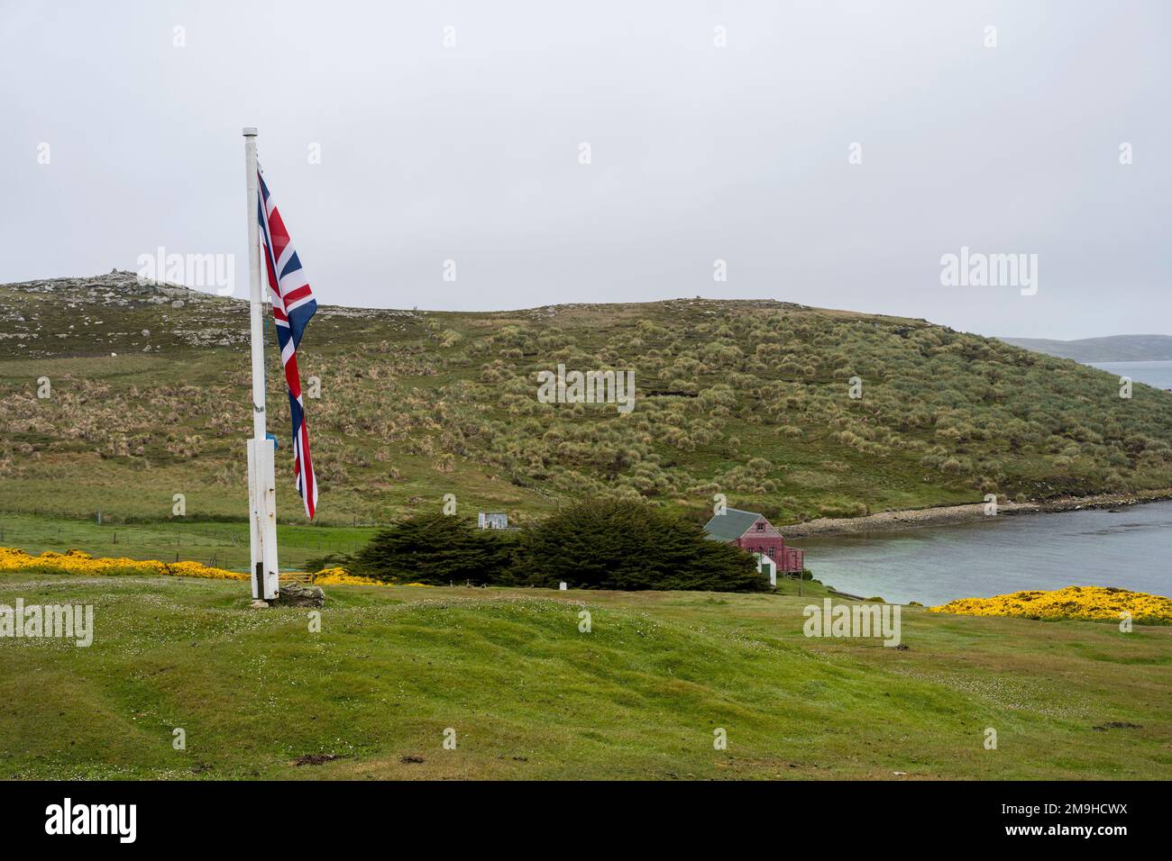 La bandiera britannica (Union Jack) vola all'insediamento di West Point Island, un'isola delle Falkland occidentali. Foto Stock