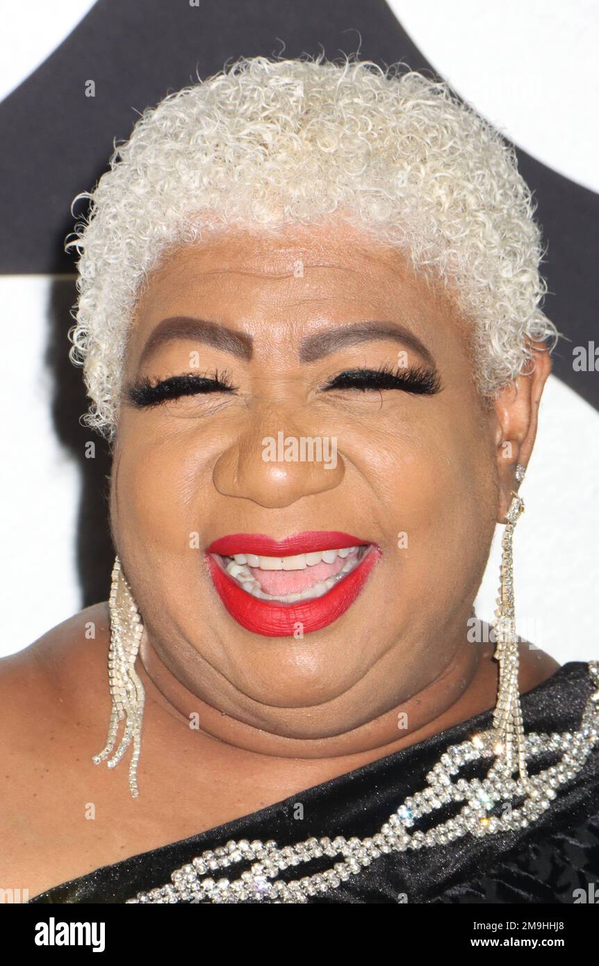 Los Angeles, Stati Uniti. 17th Jan, 2023. Luenell 01/17/2023 la prima di Los Angeles del "You People" di Netflix si è tenuta al Regency Village Theater di Los Angeles, California. Foto di I. Hasegawa/HNW/Pictureux Credit: PictureLux/The Hollywood Archive/Alamy Live News Foto Stock