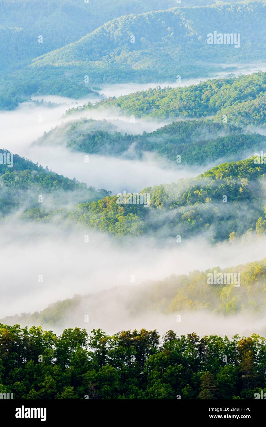 Paesaggio con colline e foreste nella nebbia, Great Smoky Mountains National Park, Tennessee, USA Foto Stock