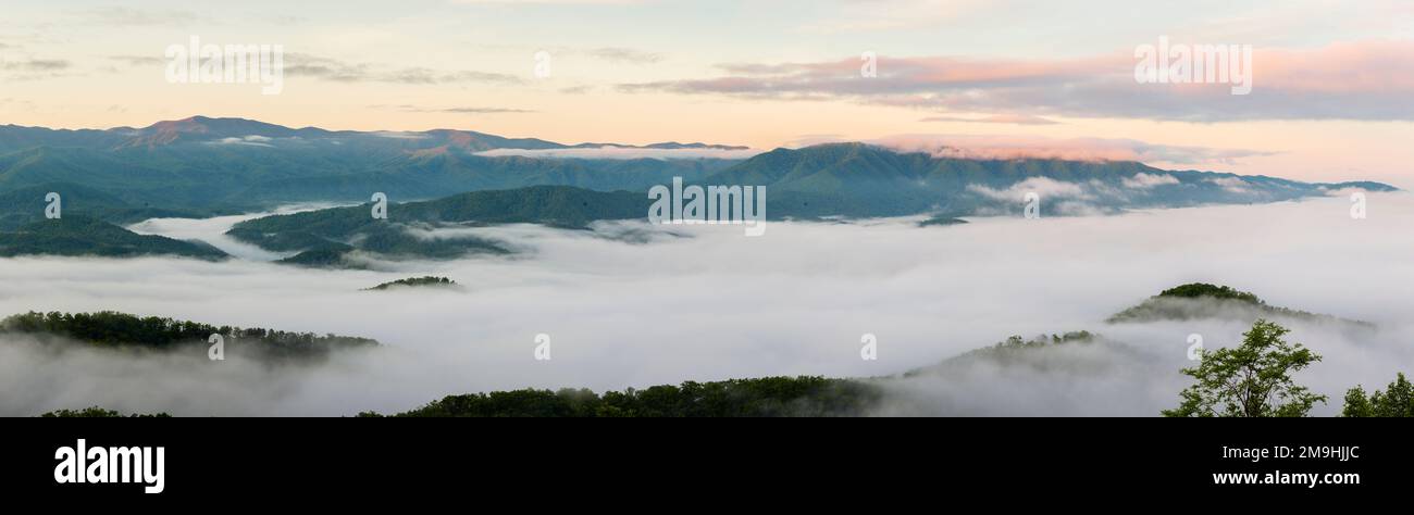 Colline in nebbia all'alba, Great Smoky Mountains National Park, Tennessee, USA Foto Stock