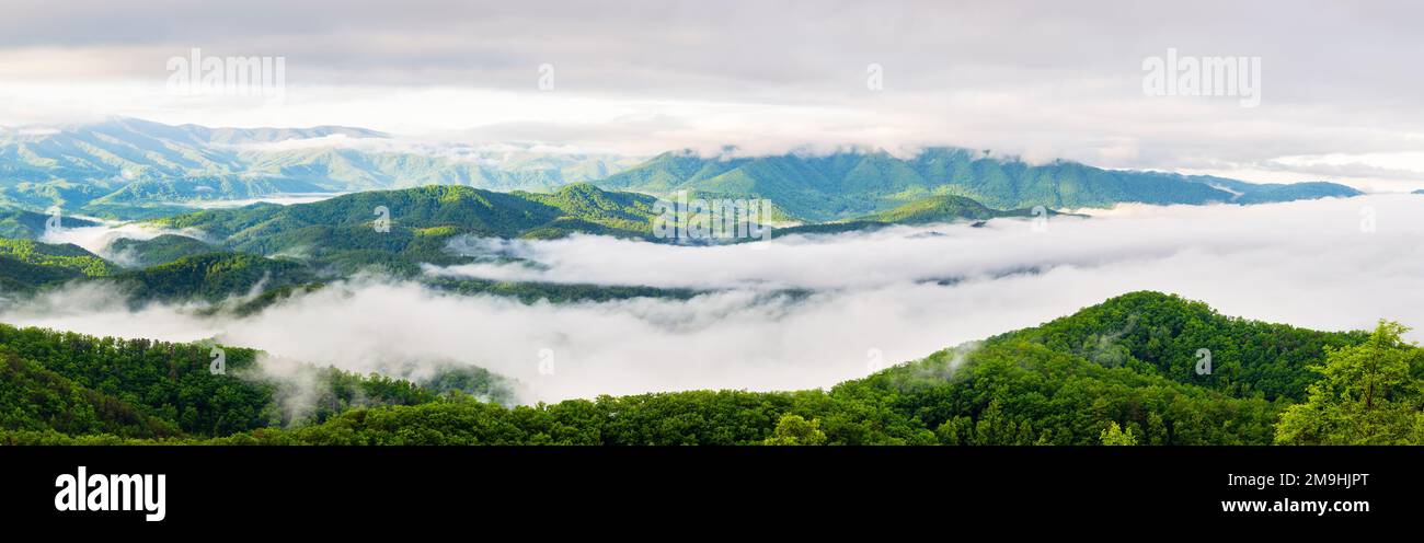 Colline in nebbia all'alba, Great Smoky Mountains National Park, Tennessee, USA Foto Stock
