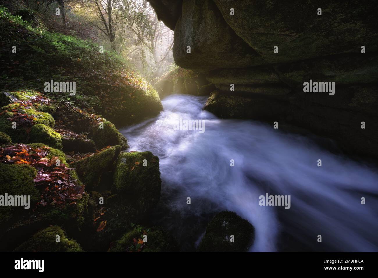 Ruscello che scorre sotto la formazione rocciosa sovrastante, Heulgoat Forest, Bretagne, Francia Foto Stock