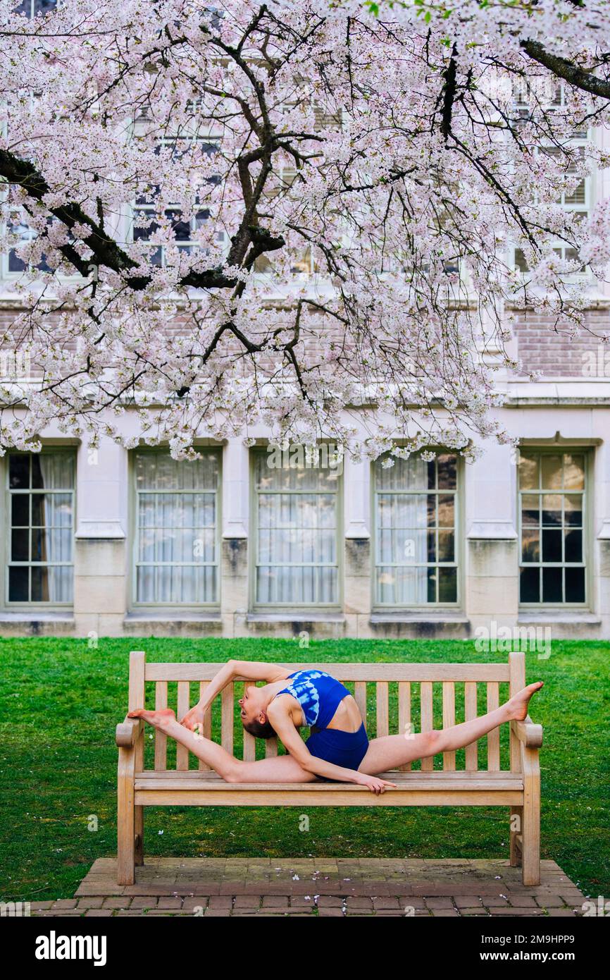 Acrobata in abbigliamento blu sul panca del parco, Università di Washington, Seattle, Washington state, USA Foto Stock