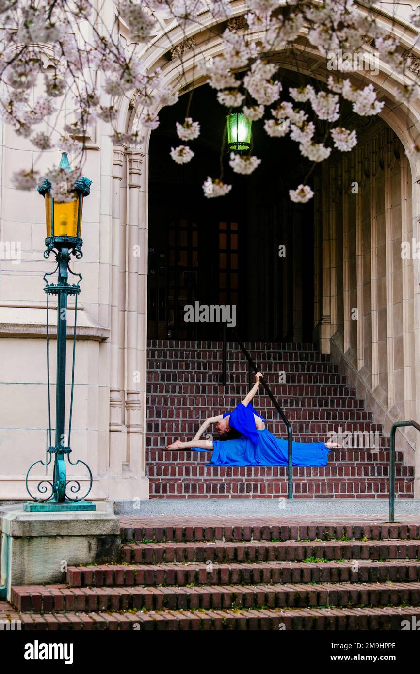 Acrobata in abito blu che si estende su scala, Università di Washington, Seattle, Washington state, USA Foto Stock