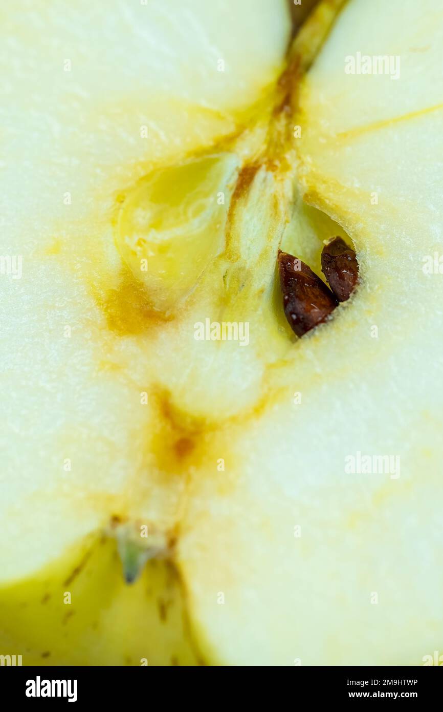 Interno di una mela gialla tagliata a metà con i suoi semi che sbirciano attraverso il centro della mela, macrofotografia. Foto Stock