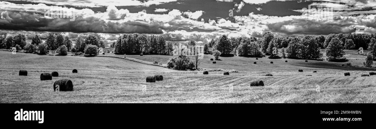 Campo agricolo ad Alpena, Michigan, USA Foto Stock