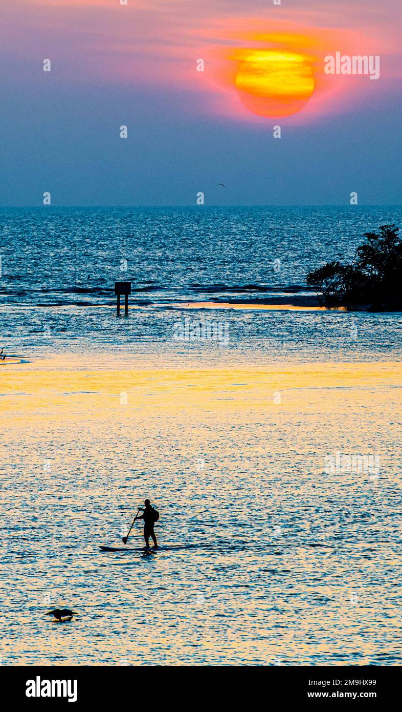 Lovers Key paddle Boarder al tramonto, Fort Myers, Florida, Stati Uniti Foto Stock