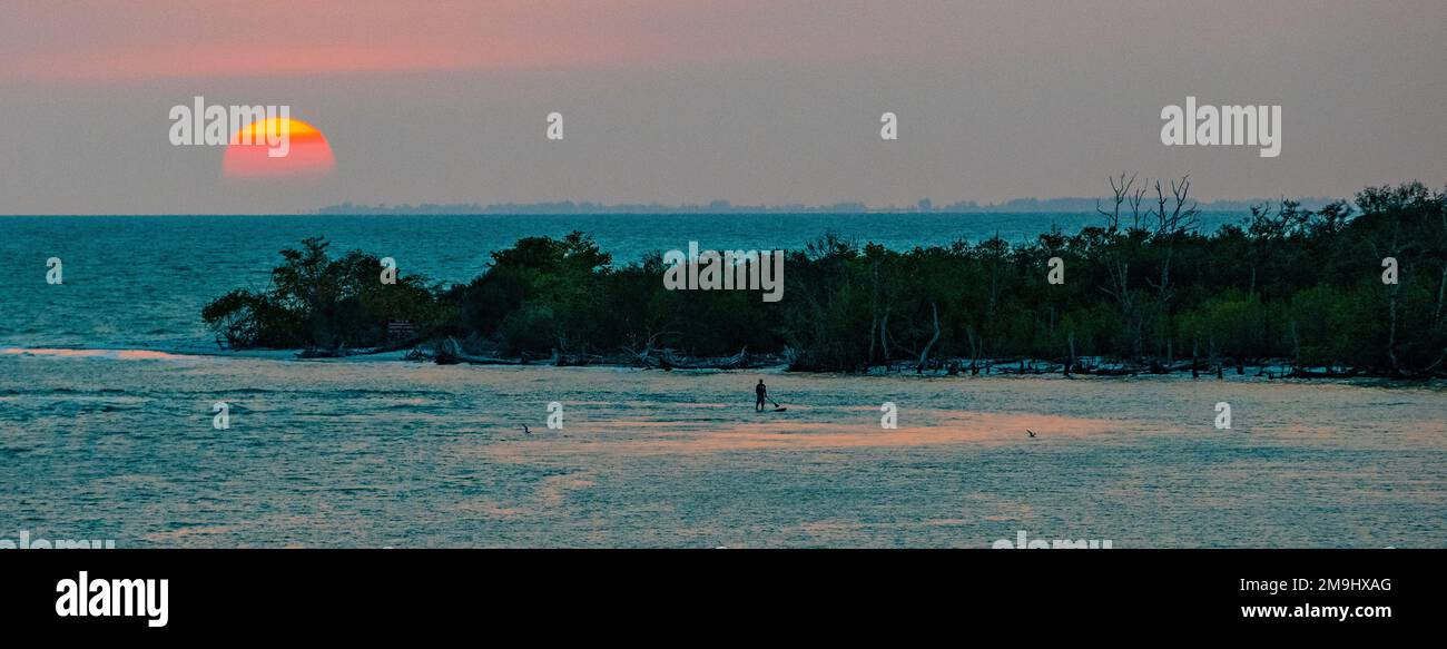 Lovers Key paddle Boarder al tramonto, Fort Myers, Florida, Stati Uniti Foto Stock