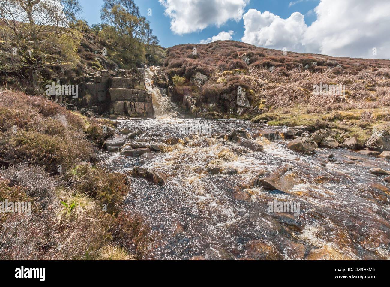 Questa piccola cascata senza nome e' una delle numerose subito a monte della principale forza Blea Beck in Upper Teesdale. Foto Stock