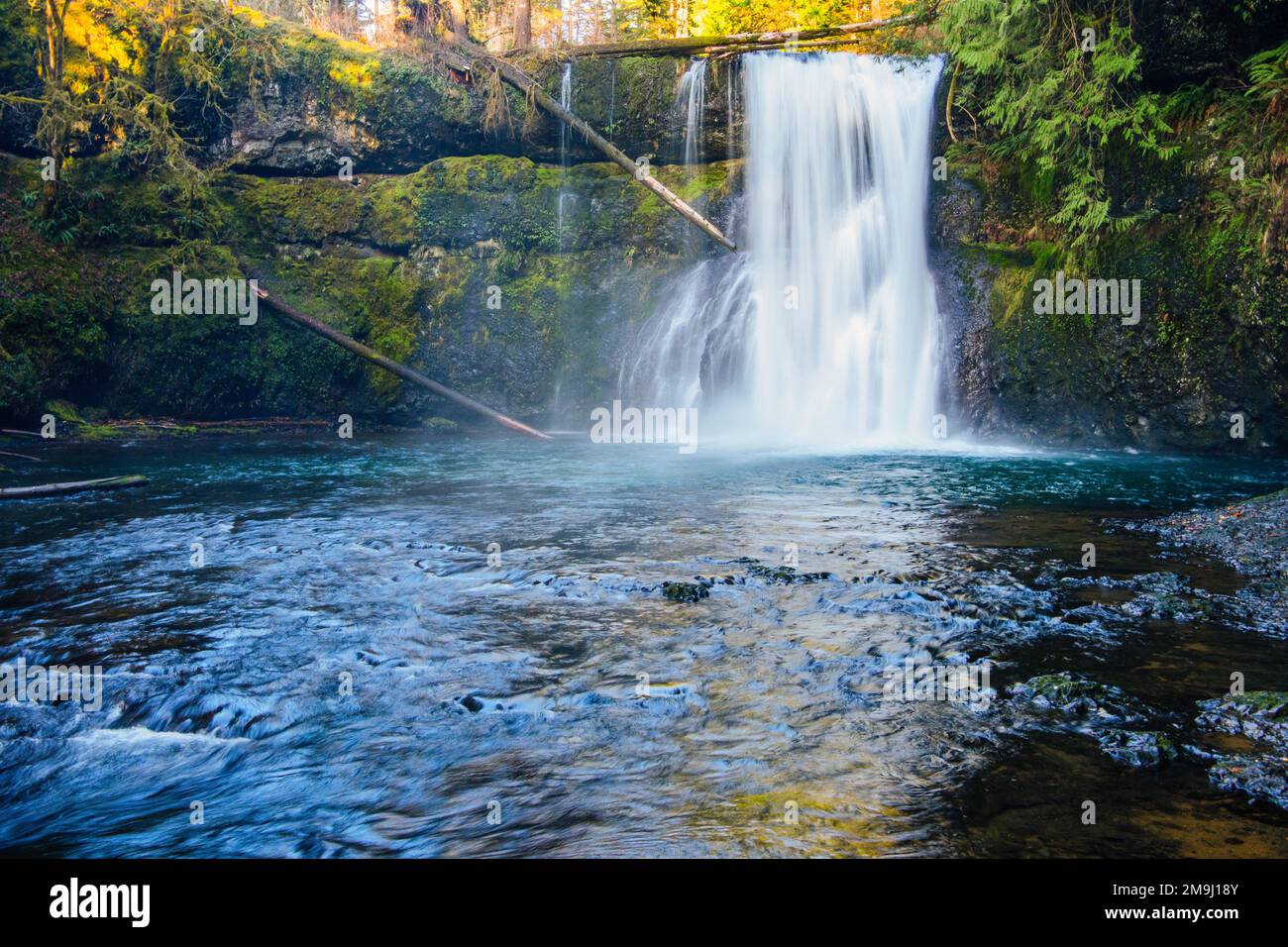 Silver Falls State Park, Oregon, Stati Uniti d'America Foto Stock