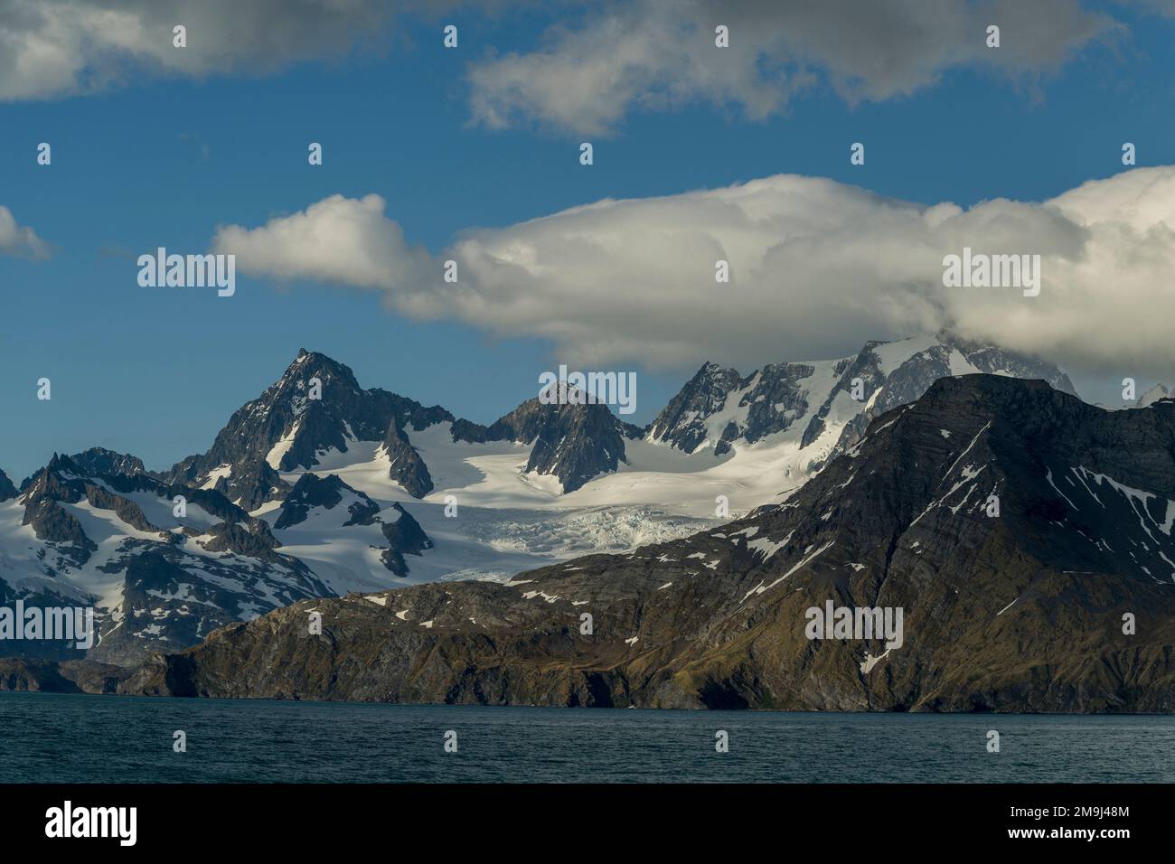 Vista delle montagne a Gold Harbor, South Georgia Island, Sub-Antartide. Foto Stock