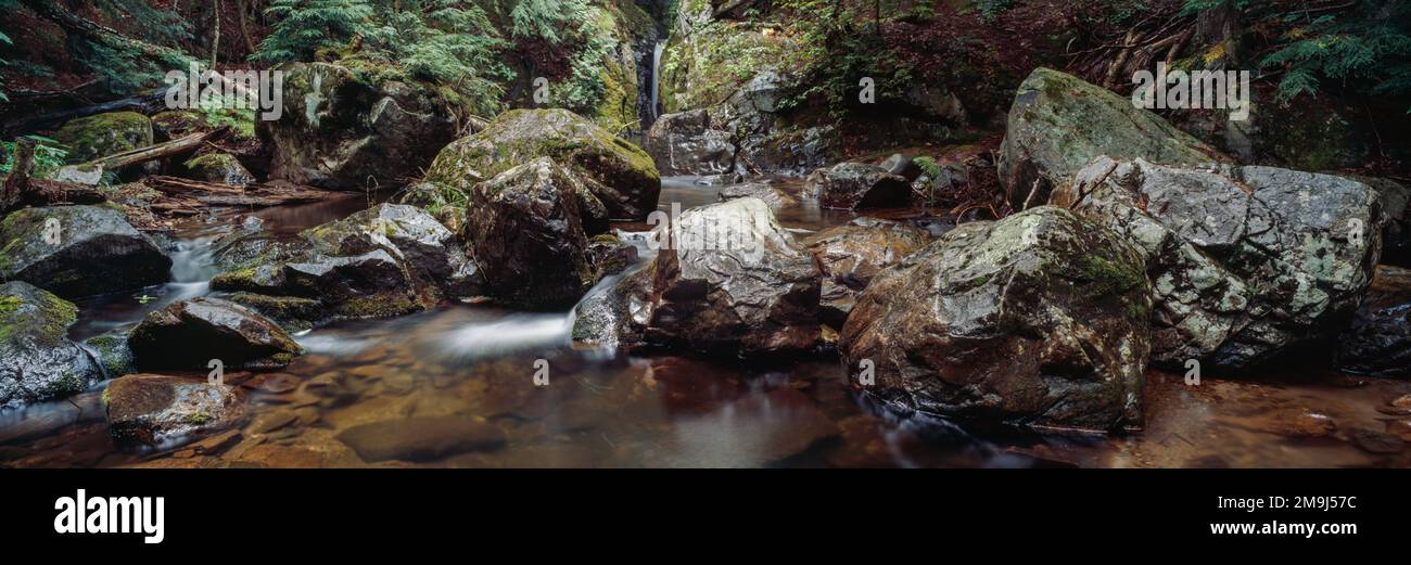 Paesaggio con Big Pup Falls, Michigan, Stati Uniti Foto Stock