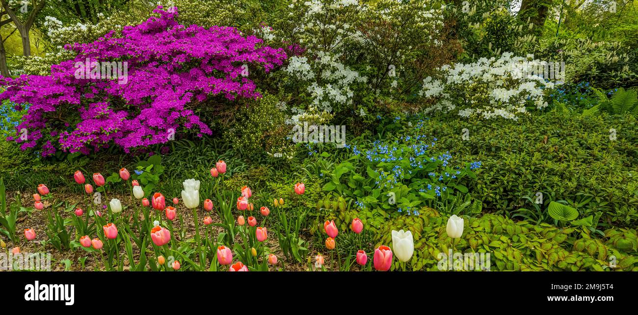 Giardino con fiori, Central Park, New York City, New York, USA Foto Stock