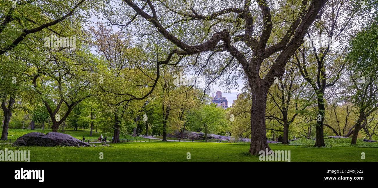 Il Central Park di New York City, New York, Stati Uniti d'America Foto Stock