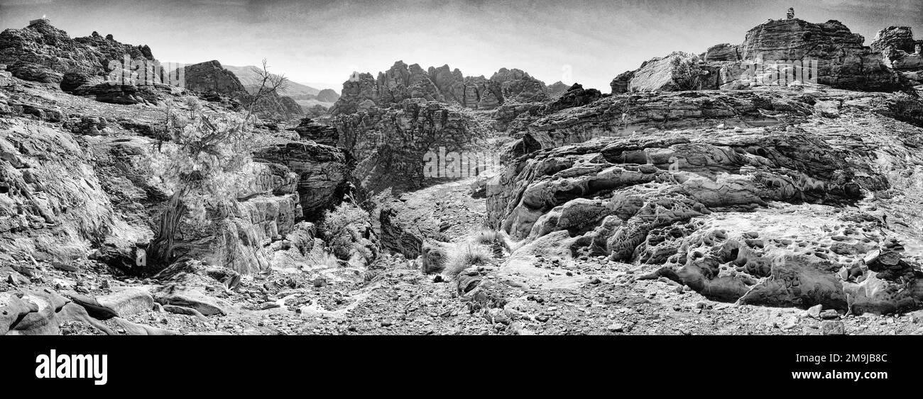 Petra, originariamente conosciuta ai Nabatei come Raqmu, Giordania meridionale Foto Stock