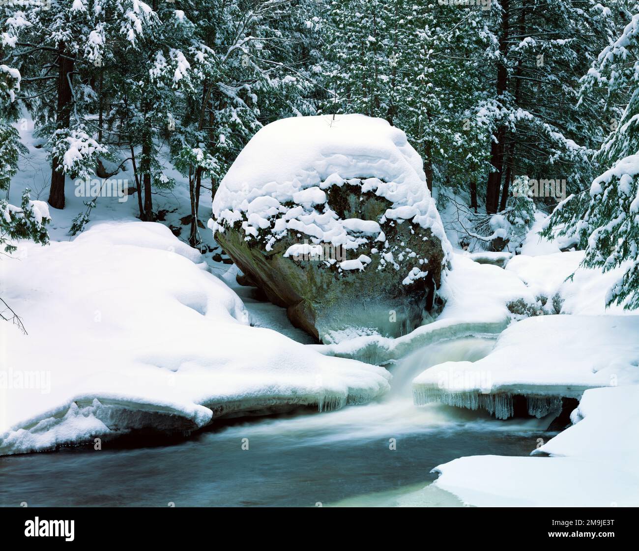 Yellow Dog Watershed in inverno, Upper Peninsula, Michigan, USA Foto Stock