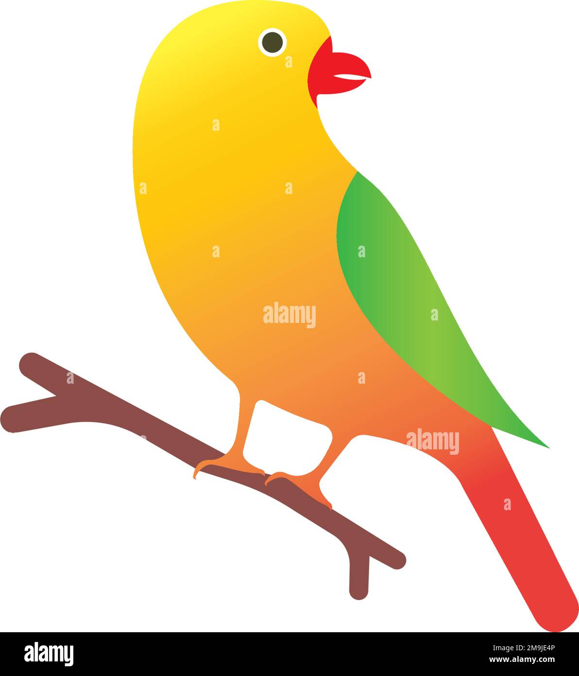 Bellissimo lovebird su un ramo isolato su uno sfondo bianco Illustrazione Vettoriale