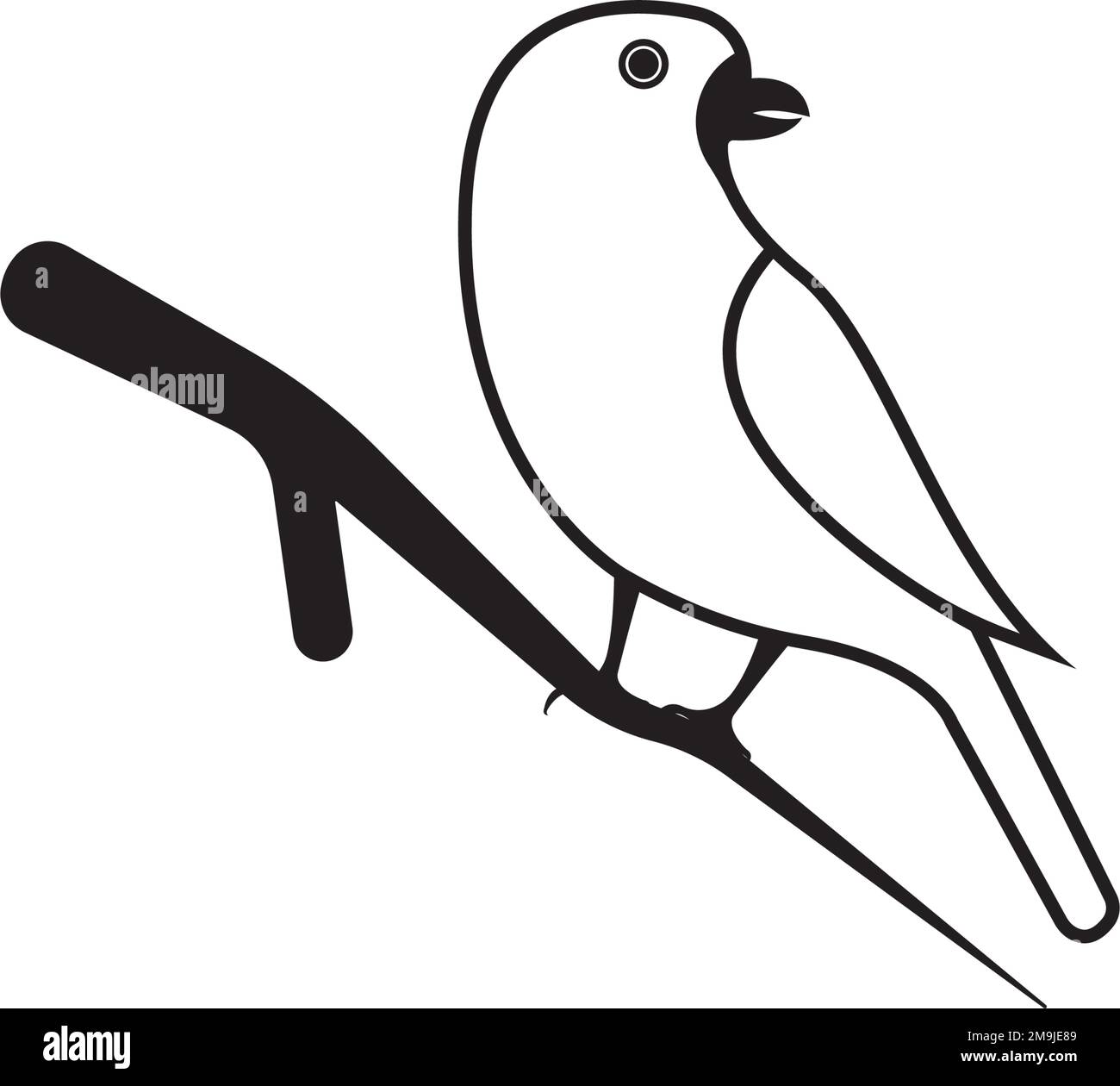 Bellissimo lovebird su un ramo isolato su uno sfondo bianco Illustrazione Vettoriale