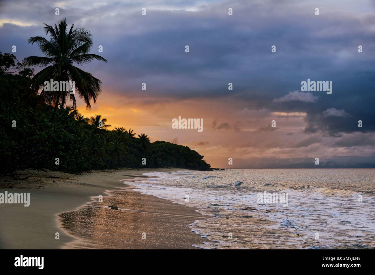 Palme, onde e spiaggia di sabbia, Grand Bourg Beach, Marie-Galante, Guadalupa, Francia Foto Stock