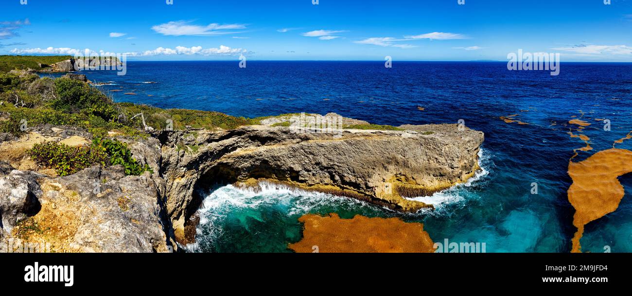 Vista ad angolo alto della costa rocciosa, Cove, Marie-Galante, Guadalupa, Francia Foto Stock