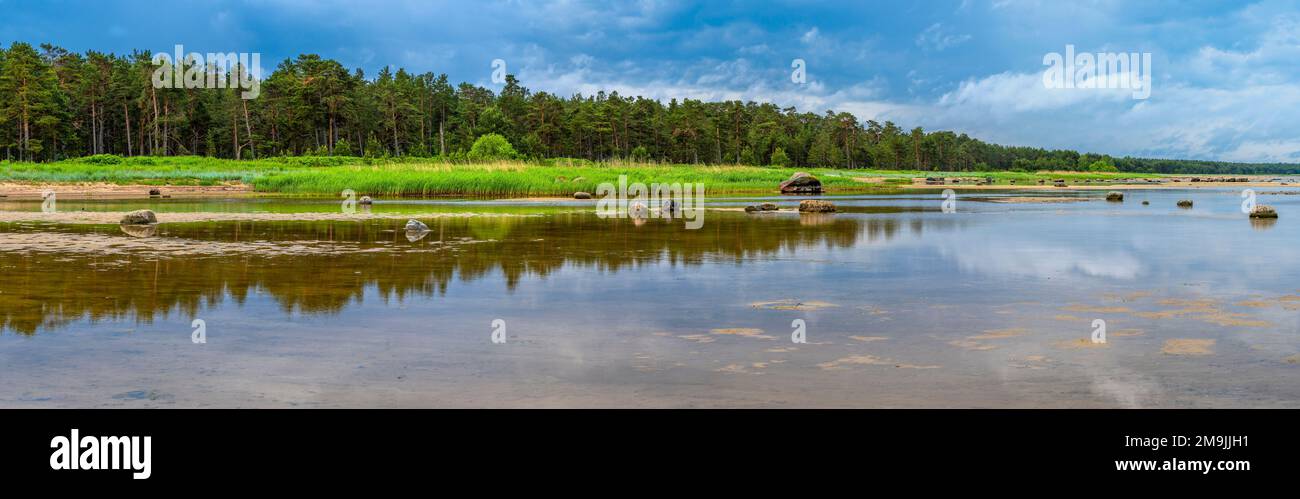 Pietre e rocce sulla costa, Kaberneeme, Mar Baltico, Harju County, Estonia Foto Stock