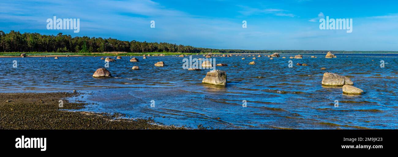 Pietre e rocce sulla costa, Kaberneeme, Mar Baltico, Harju County, Estonia Foto Stock