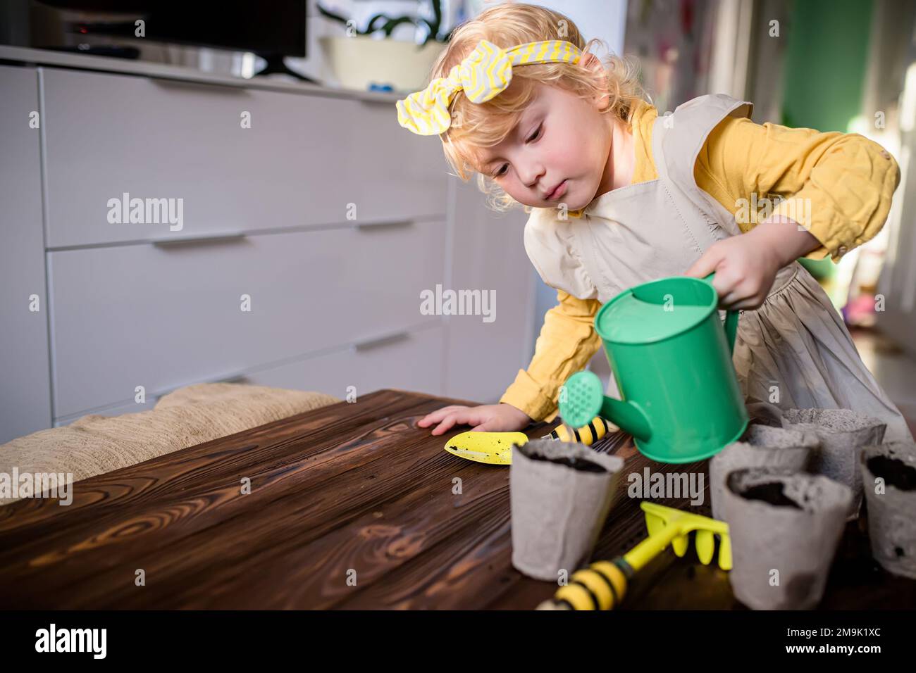 Un bambino con un bendaggio sulla sua testa innaffiare piantine in pentole di torba a casa. Foto Stock