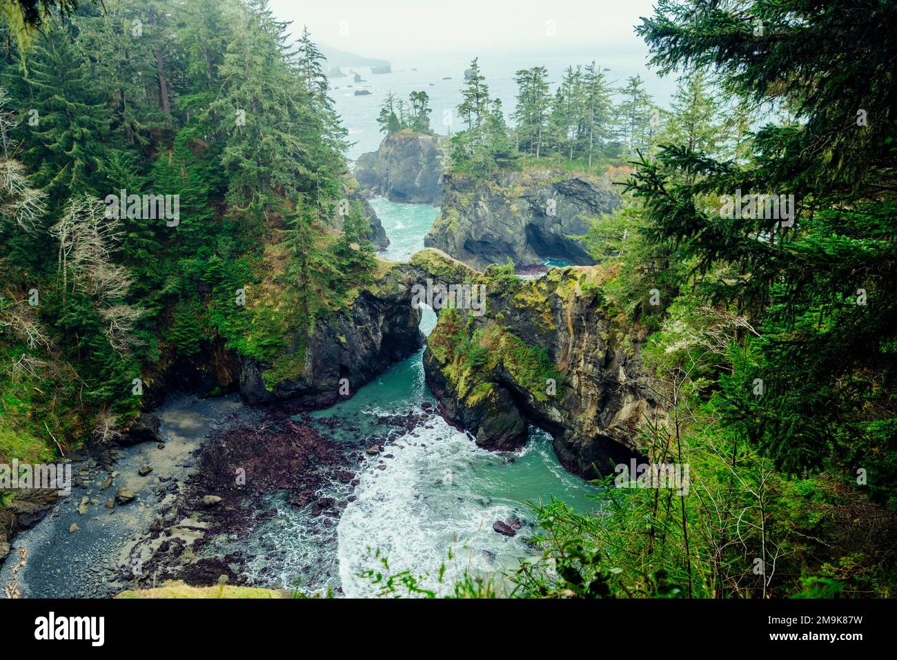 Insenatura con arco naturale, Samuel H. Boardman state Scenic Corridor, Oregon, USA Foto Stock