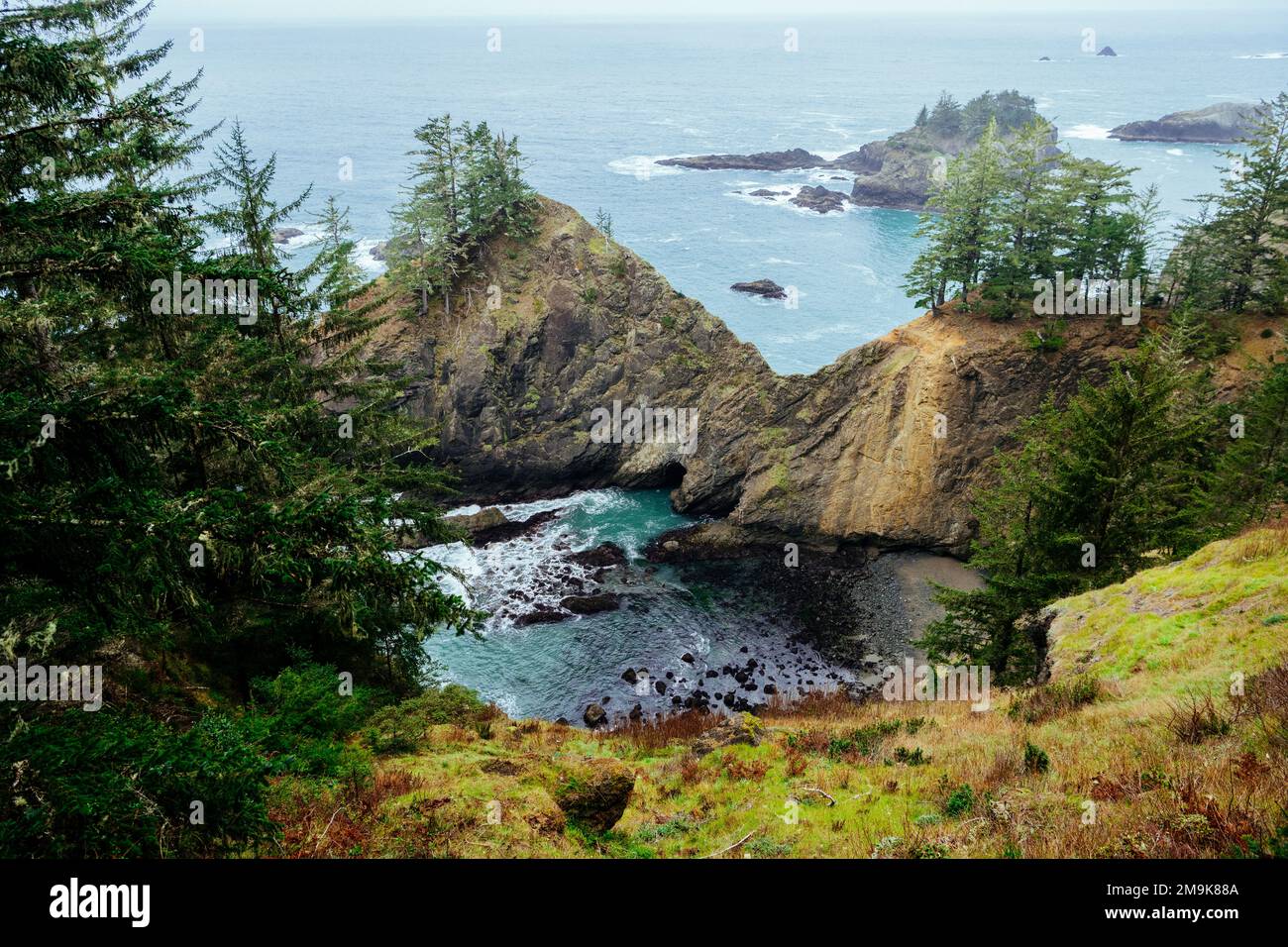 Paesaggio con insenatura e formazioni rocciose, Samuel H. Boardman state Scenic Corridor, Oregon, USA Foto Stock