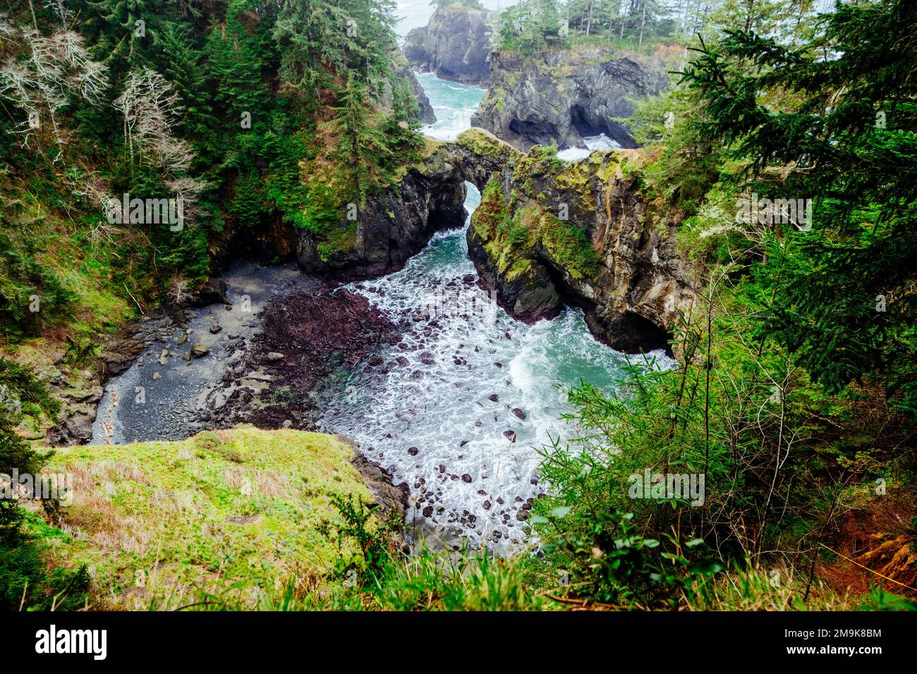 Insenatura con ponte naturale, Samuel H. Boardman state Scenic Corridor, Oregon, USA Foto Stock