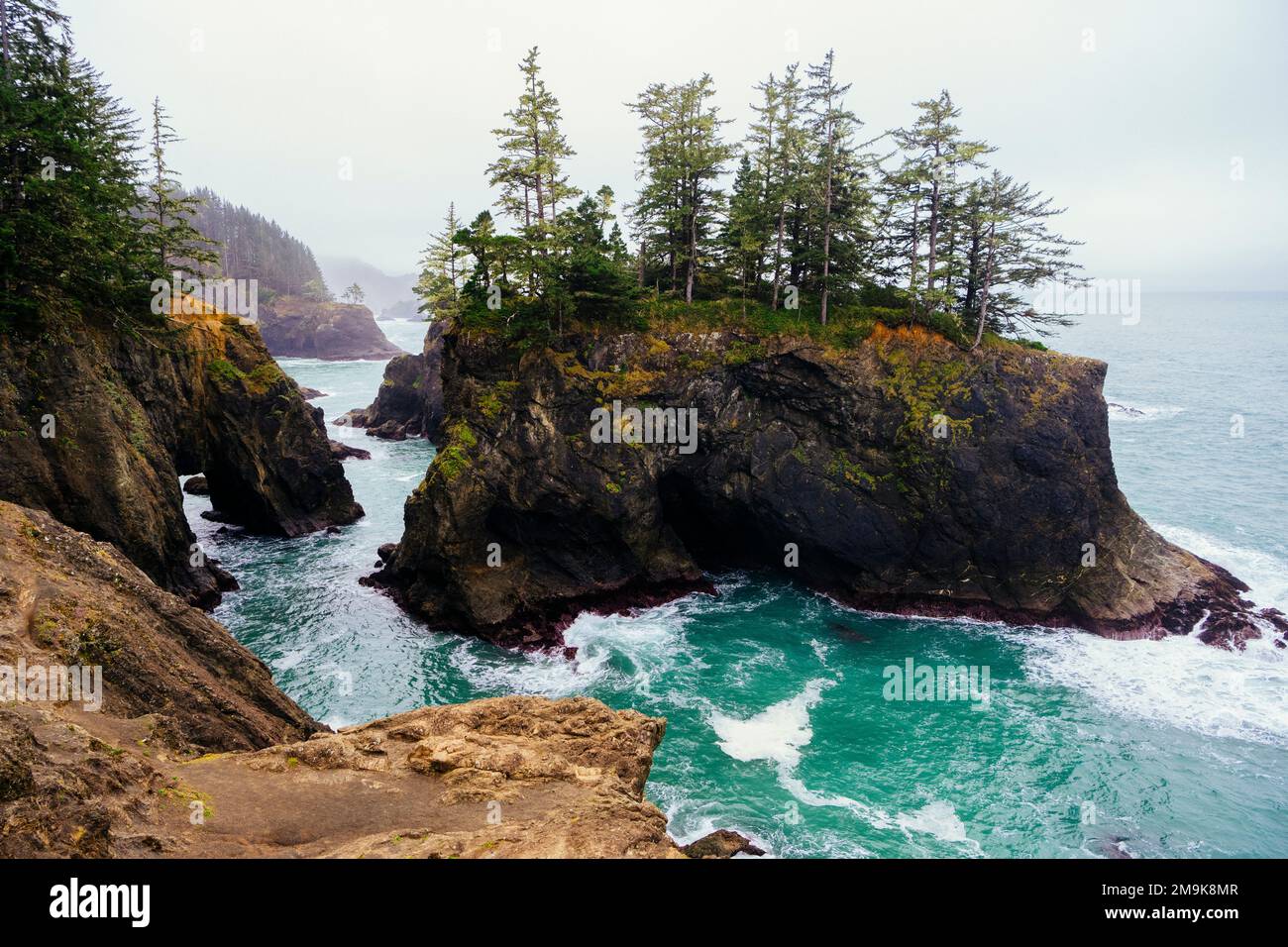 Formazione rocciosa con alberi, Samuel H. Boardman state Scenic Corridor, Oregon, USA Foto Stock