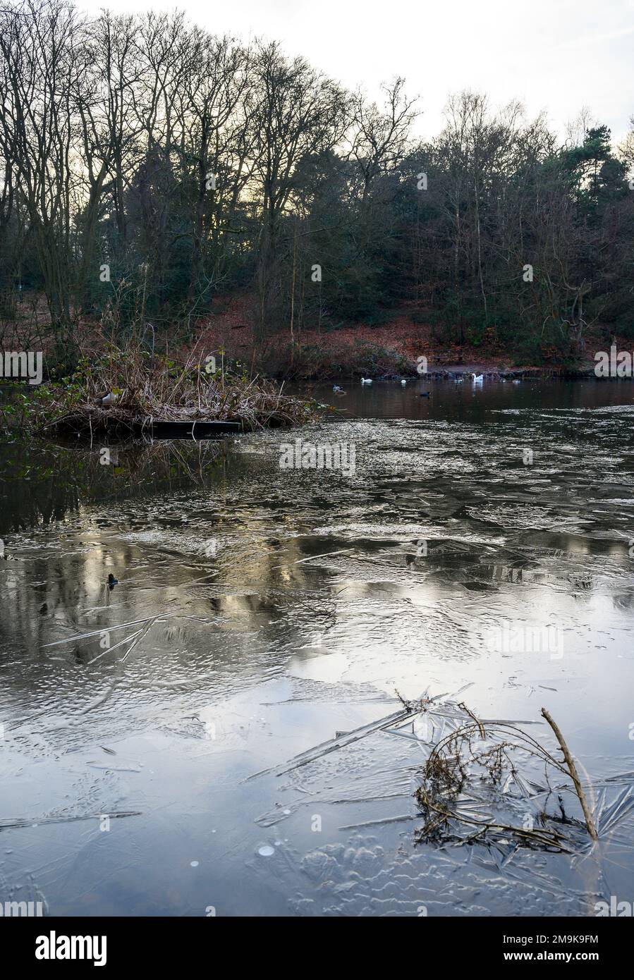 Uno dei Keston Ponds su Keston Common vicino al villaggio di Keston in Kent, Regno Unito. Una fredda scena invernale con ghiaccio sulla superficie dello stagno. Foto Stock