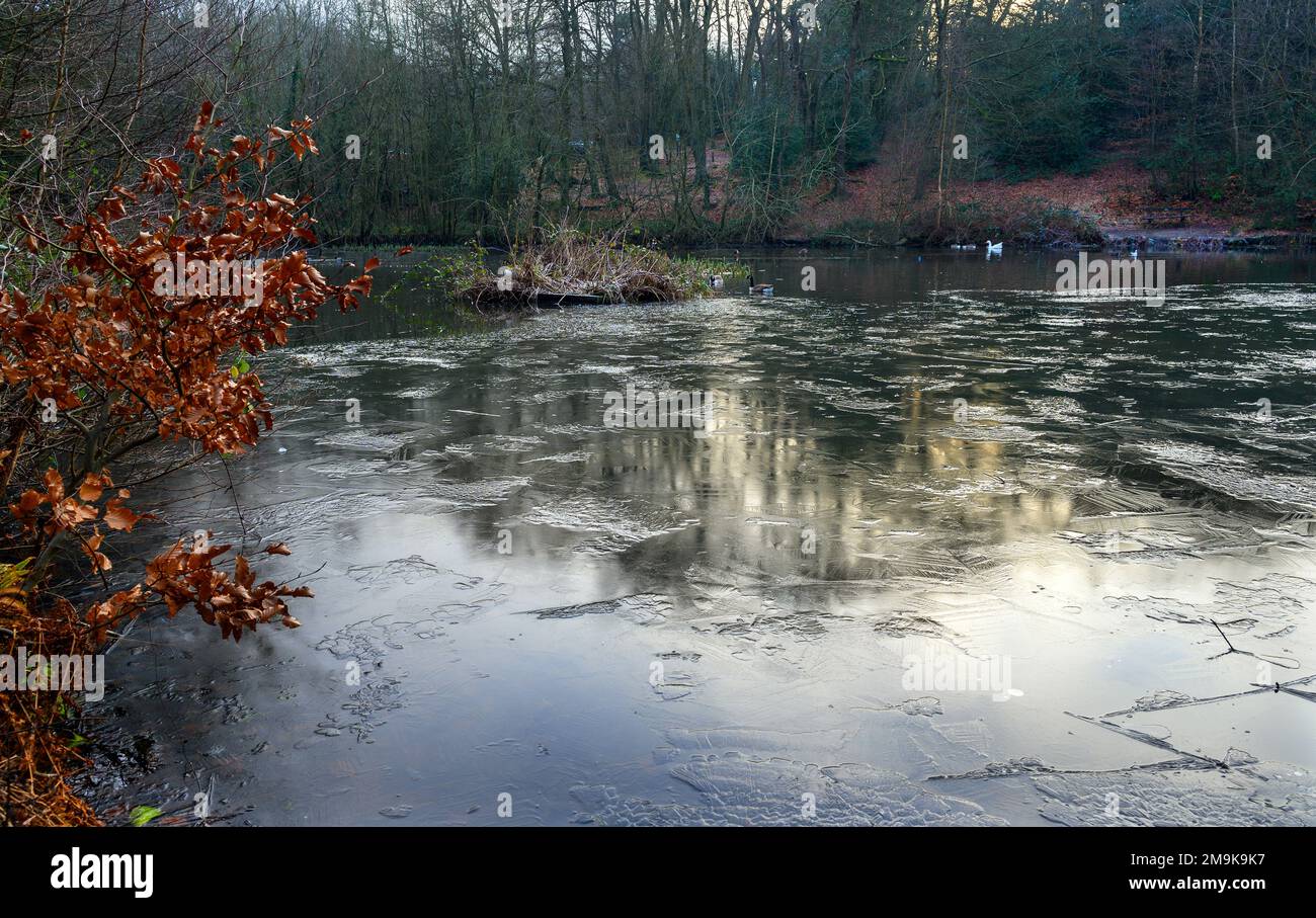 Uno dei Keston Ponds su Keston Common vicino al villaggio di Keston in Kent, Regno Unito. Una fredda scena invernale con ghiaccio sulla superficie dello stagno. Foto Stock