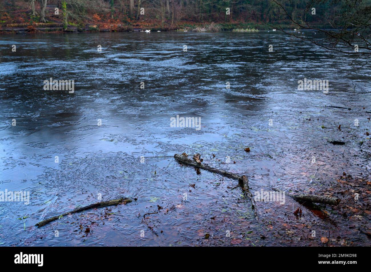 Uno dei Keston Ponds su Keston Common vicino al villaggio di Keston in Kent, Regno Unito. Una fredda scena invernale con ghiaccio sulla superficie dello stagno. Foto Stock