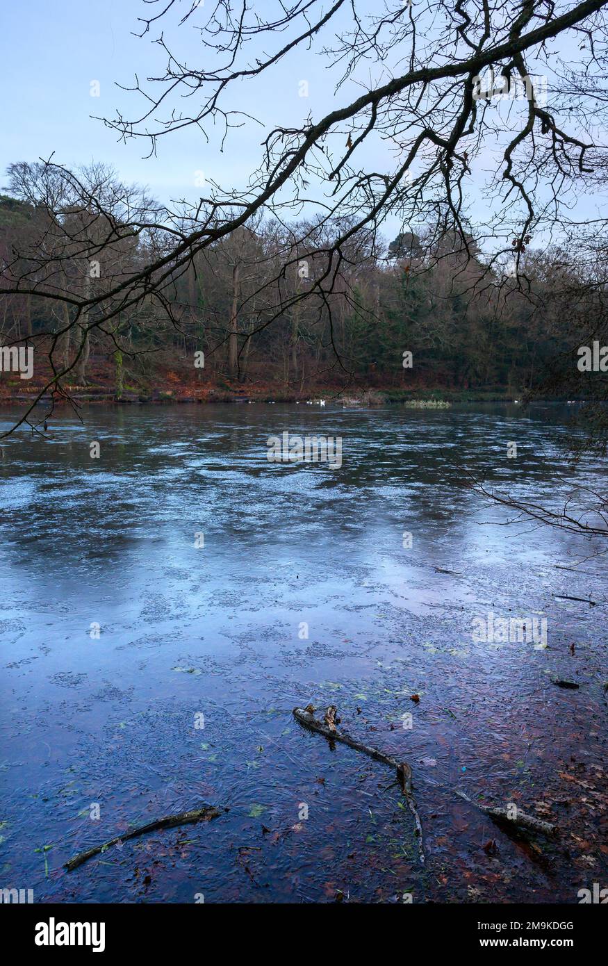 Uno dei Keston Ponds su Keston Common vicino al villaggio di Keston in Kent, Regno Unito. Una fredda scena invernale con ghiaccio sulla superficie dello stagno. Foto Stock