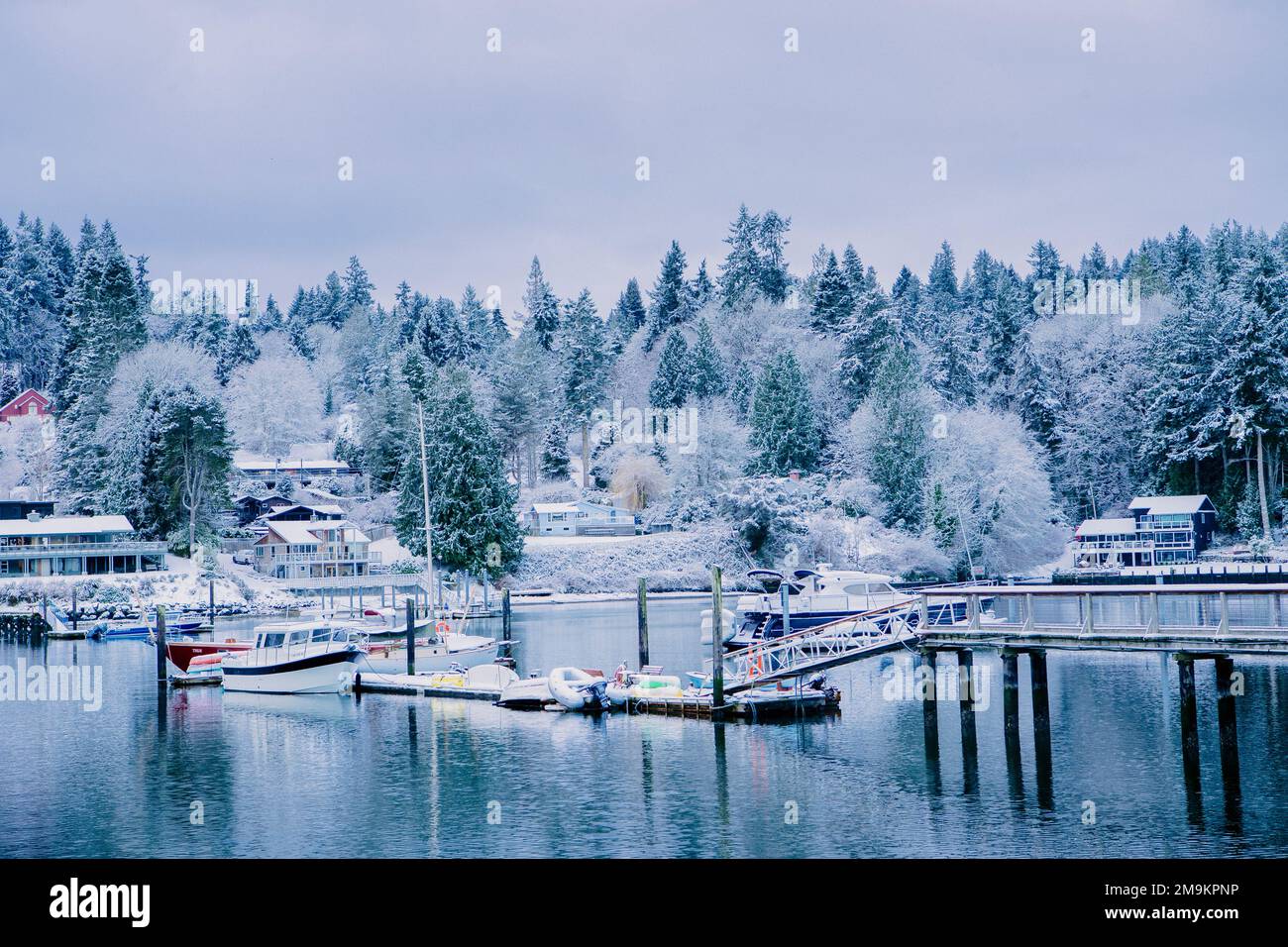 Eagle Harbor in inverno, Bainbridge Island, Washington, USA Foto Stock