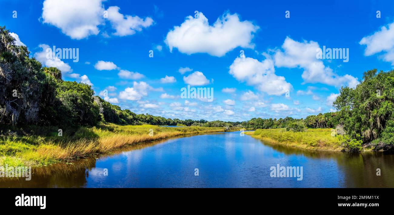 Paesaggio con il fiume Myakka River state Park, Sarasota, Florida, Stati Uniti Foto Stock