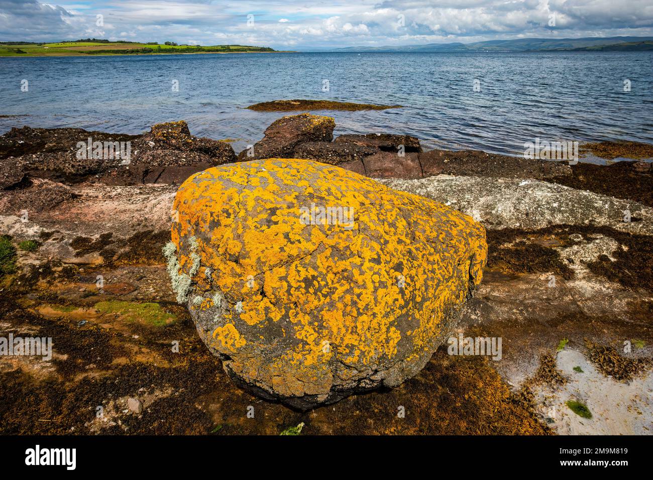 Pietra con lichen, Kilchattan Bay, Isola di Bute, Scozia, Regno Unito Foto Stock