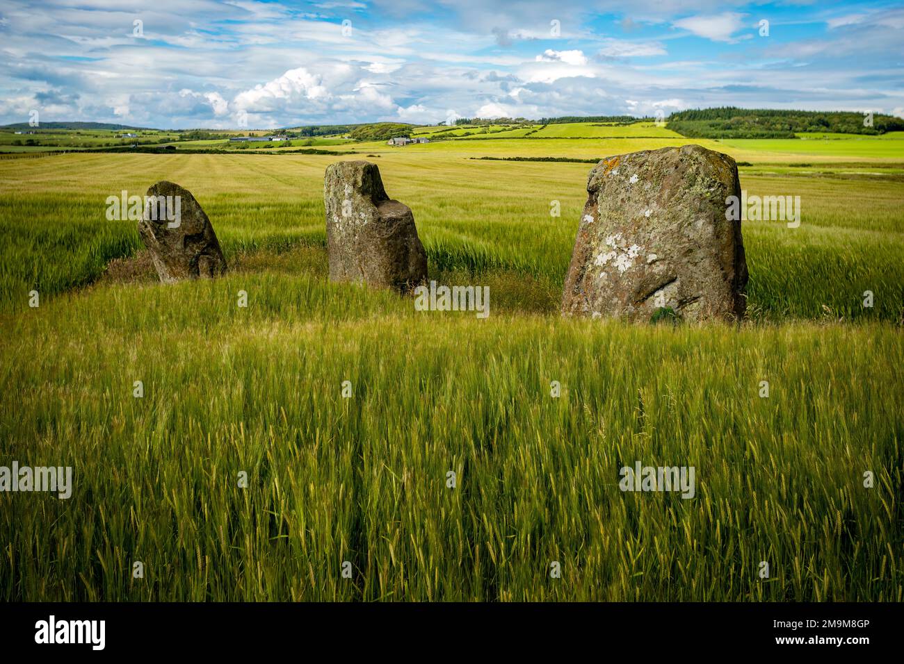 Paesaggio con pietre in piedi, Kilchattan Bay, Isola di Bute, Scozia, Regno Unito Foto Stock
