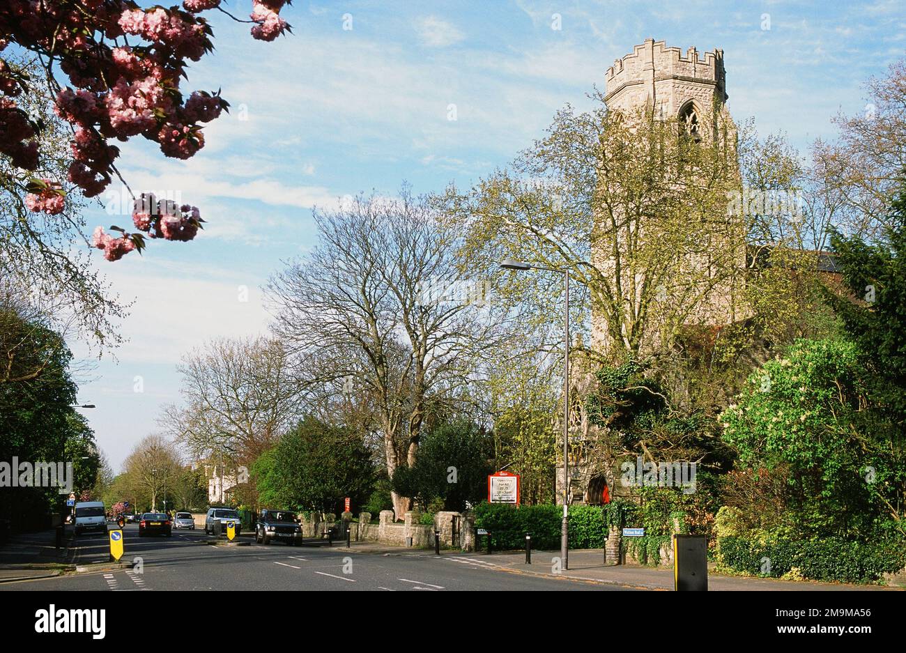 Wickham Road, Upper Brockley, South East London UK, in primavera, con la torre della chiesa di San Pietro Foto Stock