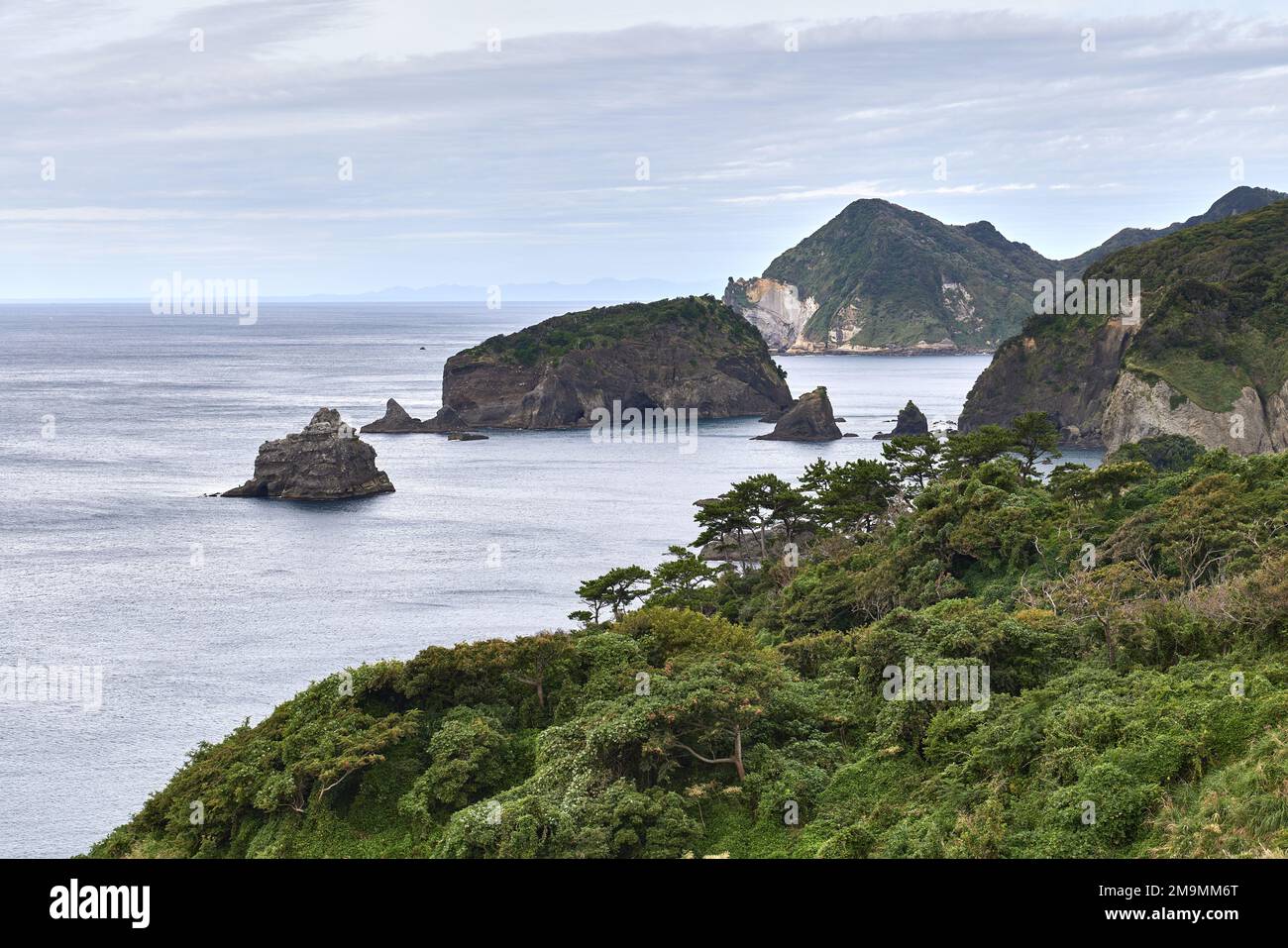 Costa rocciosa a Minami Izu, Giappone Foto Stock