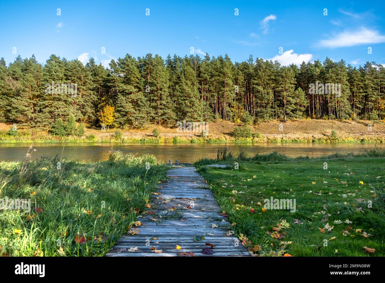 Un sentiero in legno coperto di foglie di acero autunnale caduto conduce al fiume, dall'altra parte del quale si trova una foresta autunnale Foto Stock